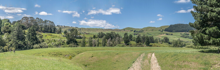 Fototapeta na wymiar green mild slopes in hilly countryside, near Te Pohue, Hawkes Bay, New Zealand