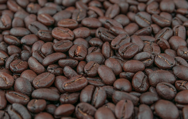 Dark coffee beans placed on a white scene.