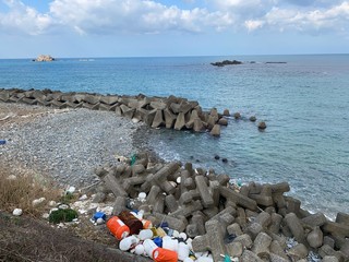 seaside wastes, drifted 海岸に打ち上げられた漂流ゴミ