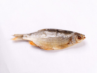 salted dried salted white fish on a white background