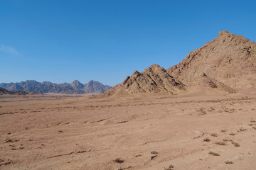 Fototapeta na wymiar Sinai mountains in Egypt
