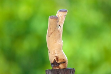 fork slingshot catapult