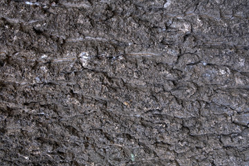 Тexture of tree bark, green leaves, granite stones for background and creativity