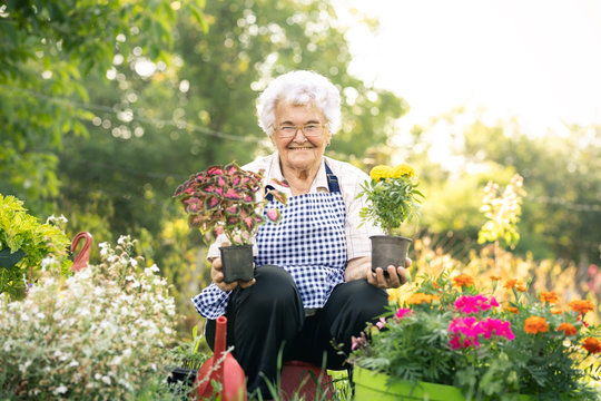 Senior woman gathering flowers in garden