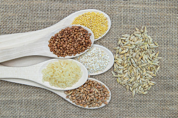 Composition of wooden spoons on which grains and cereals are located. Wheat, rice, buckwheat, millet, oats.