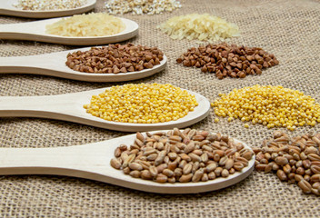 Composition of wooden spoons on which grains and cereals are located. Wheat, rice, buckwheat, millet, oats.