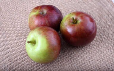 Apples on bagging