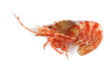 Shrimp isolated on white (northern Bering shrimp)