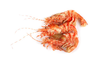 Shrimps isolated on white (northern Bering shrimp)