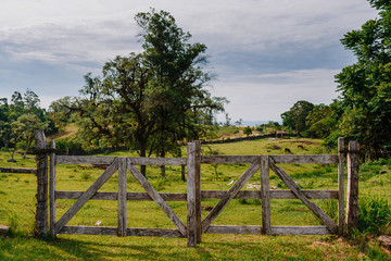 Fototapeta na wymiar green field with closed wooden gate