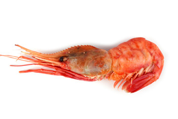 Big shrimp isolated on white