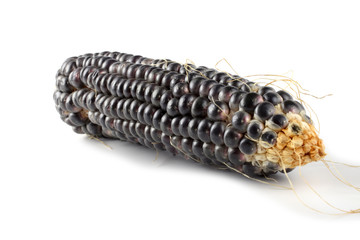 Black corn isolated on white