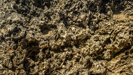 Washed stone close-up. Brown natural background