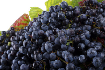 Wine grape on autumn leaves background