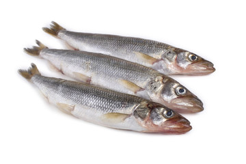 Smelt fish isolated on white. (Big Pacific smelt - Osmerus mordax)