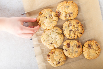 Vanilla biscuits with chocolate chips
