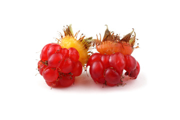 Korean raspberry (Rubus crataegifolius)