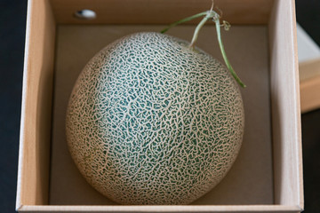 High quality Japan melon