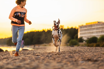Joyful woman spending time running with dogs on sandy beach