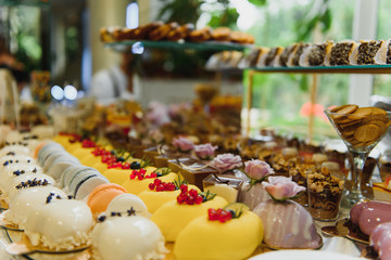 Delicious sweets on wedding candy buffet with desserts, cupcakes,tiramisu and cookies