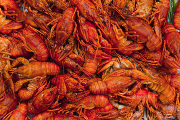 boiled crayfish on an iron plate. boiled red crayfish background for menu. top view, close up photo. a plate of cooked crayfish. Boiled crayfish, a traditional Russian dish. vintage photo processing