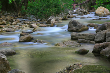 run of mountain stream in forest