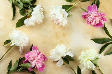 Beautiful peony flowers closeup over textured background with a lot of copy space for text. International women's mother's valentine's first spring day. Close up, top view, backdrop, flat lay.