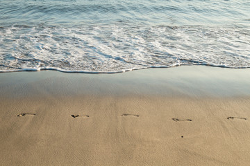 Footprints on the beach