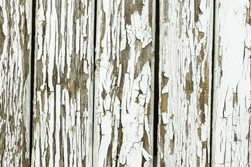 Light gray wooden background. Wooden background, painted surface of the old gray boards. Weathered gray wood texture. Vertical orientation.