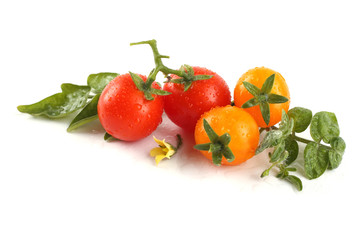 Red and yellow cherry tomatoes