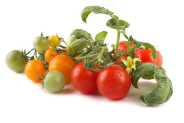 Red and yellow cherry tomatoes