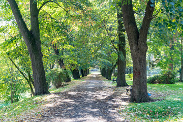 alley in the park