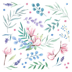 Hand drawn watercolor botanical elements set. Magnolia, leaves, bouquets