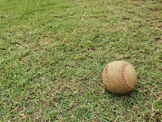 The old, dirty baseball ball has been forgotten and placed on the green lawn in the baseball field.