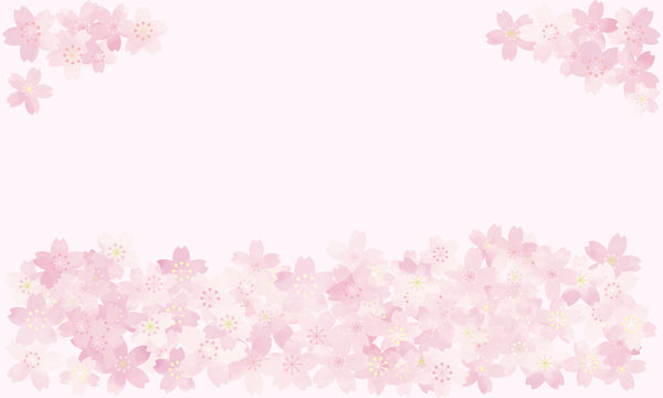 23 941 最適な 桜 フレーム 画像 ストック写真 ベクター Adobe Stock