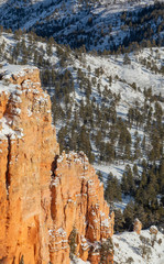 Fototapeta na wymiar Scenic Landscape in Bryce Canyon National Park Utah in Winter