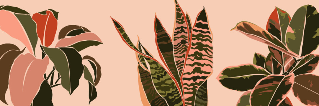 Art collage houseplant leaves in a minimal trendy style. Silhouette of sansevieria, Spathiphyllum and ficus plants in a contemporary simple abstract style on a pink background. Vector illustration