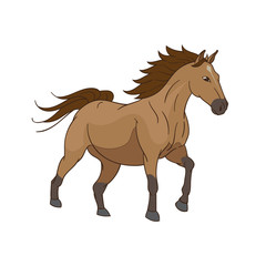 Wild Horse Vector Illustration