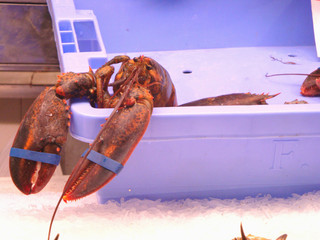 Venta de mariscos en el Mercado de Valencia