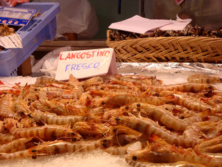 venta de langostinos frescos