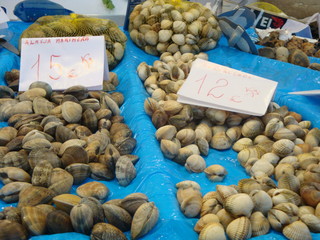 venta de mariscos 