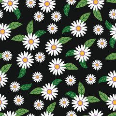 camomile seamless pattern