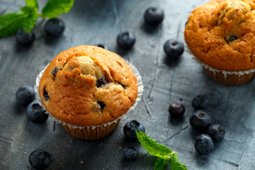 Blueberries muffins, cupcake with mint and berry
