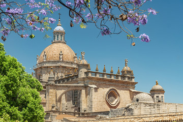 A beautiful view of the Cathedral from the Moorish Alcazar and a branch of flowering jacaranda...