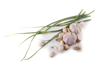 Garlic and garlic arrows