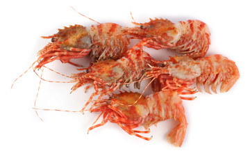 Shrimps isolated on white (northern Bering shrimp)