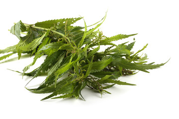 Nettle isolated on white