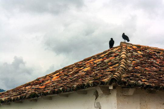 Paraty IMG_3428
