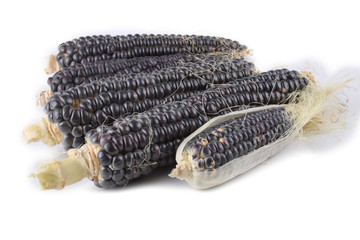 Black corn isolated on white