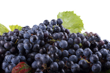 Wine grape on autumn leaves background
